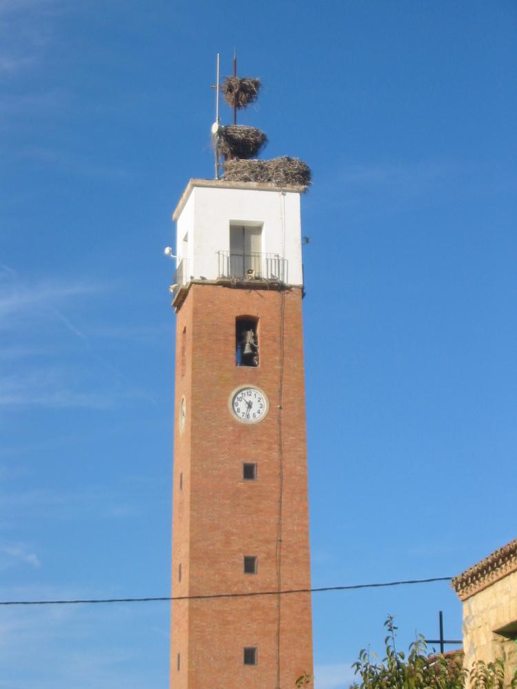 Imagen: Torre de la iglesia de San Lorenzo de Flumen
